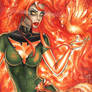 Jean Grey Phoenix Blank