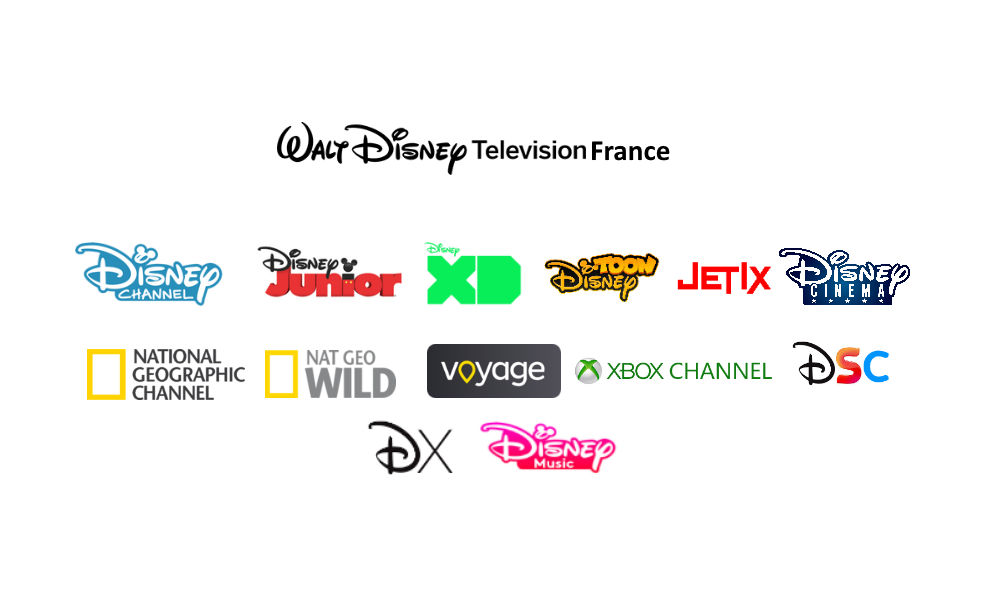 Walt Disney Television France Subsidiaries/Rebrand by melvin764g on