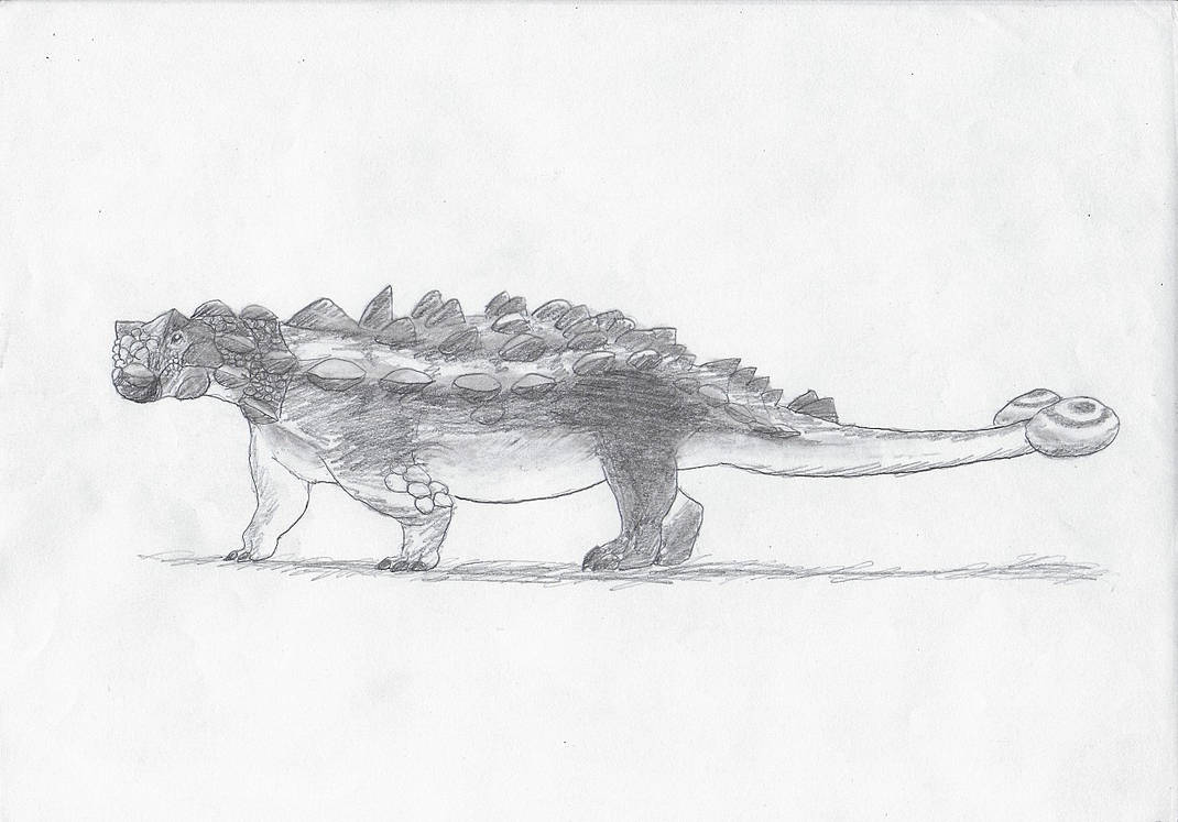 Akainacephalus by nogain98 on DeviantArt