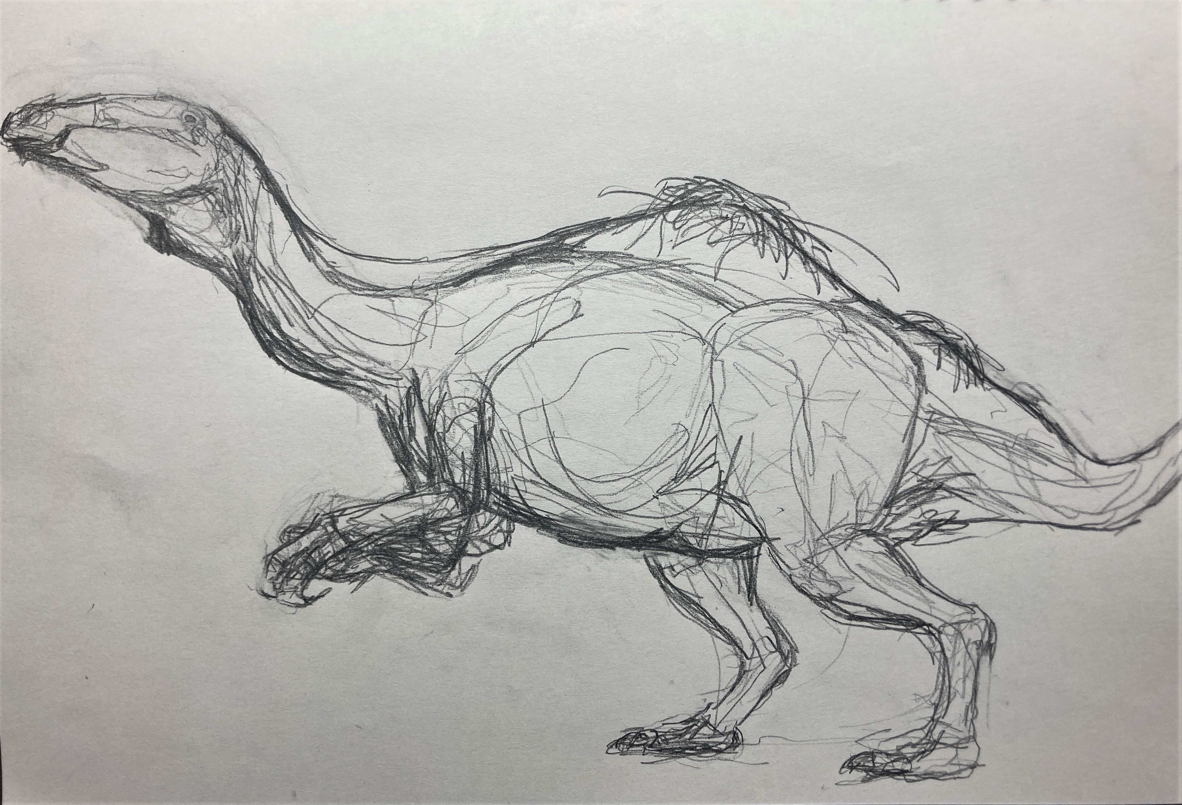 Deinocheirus mirificus by IllustratedMenagerie on DeviantArt