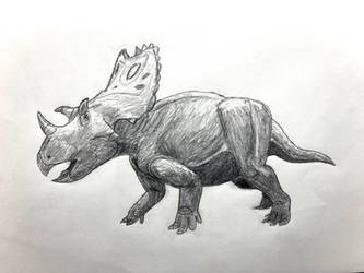 Utahceratops sketch
