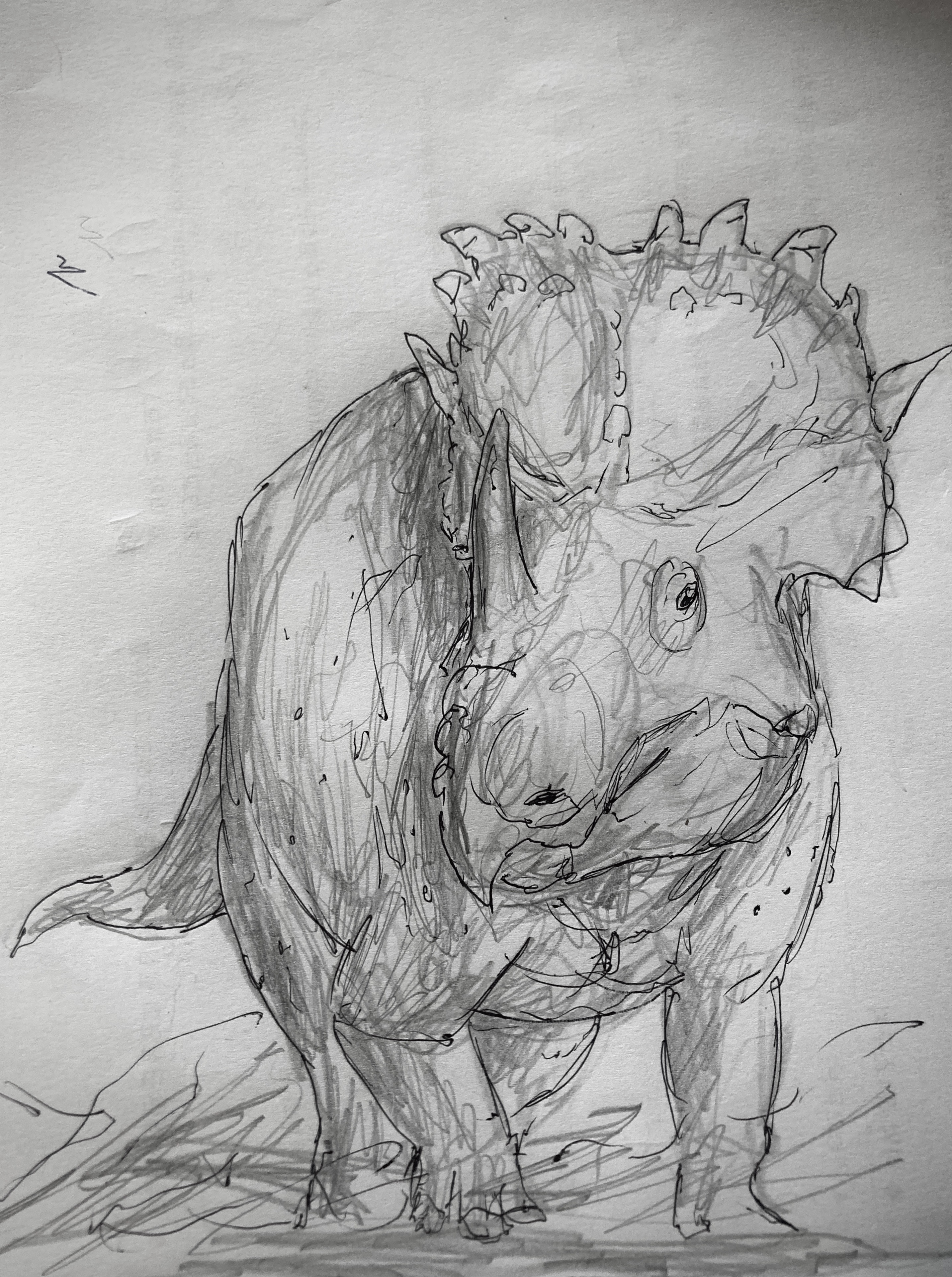 Sinoceratops sketch