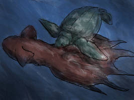 Archelon and Nanaimoteuthis