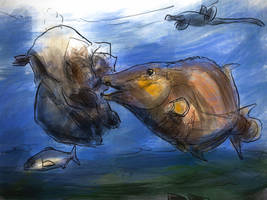 Rhinopycnodus eat jellyfish