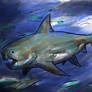 Dinichthys