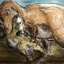 Nanotyrannus hunted Leptoceratops