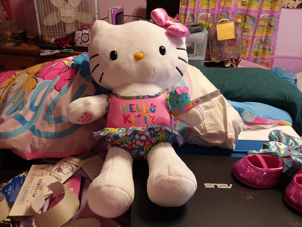 My Build-A-Bear Hello Kitty 2 of 2 by BriMG29 on DeviantArt
