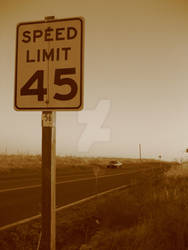 Speed Limit 45