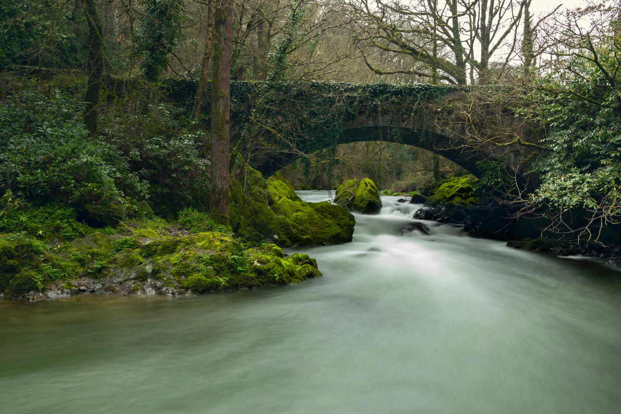 A closer look at Where It Flows