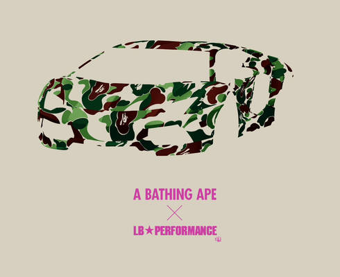 A Bathing Ape X LB Performance