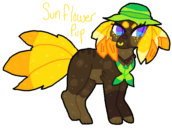 sunflower pup adopt (CLOSED)