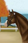 Indy entering Fall Fest by zaviie