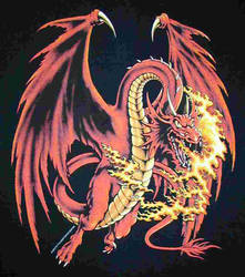 Friend's dragon