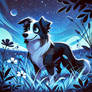 Blue Night