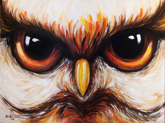 Fiery owl 2