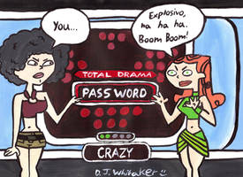 Total Drama Password