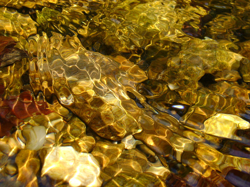 Речки с золотом. Золотая река. Речка с золотом. Золотистая река. Речное золото.