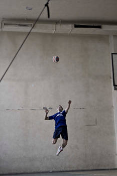 Volley