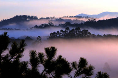 dreaming hillsides