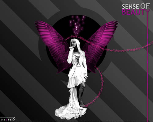 Sense of Beauty_ vol 1.4