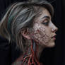 Through my Veins 2