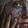 Through my Veins 6