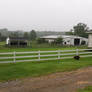 Family Reunion -- Aunt Betty's Farm~