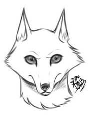 Wolf's sketch