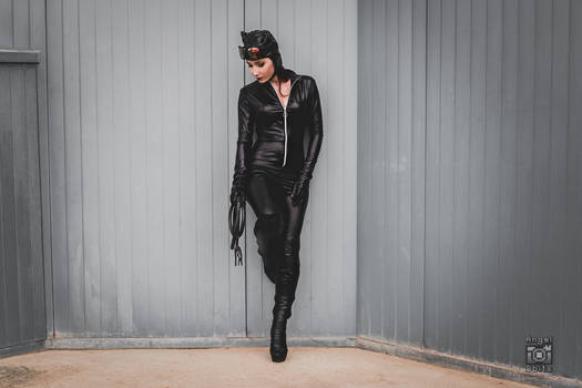 Barbara Corner|Catwoman