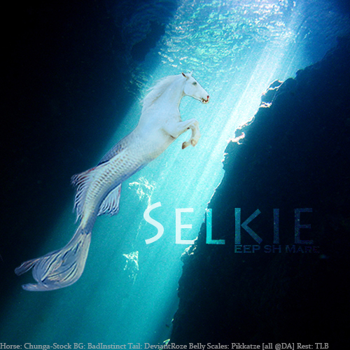 Selkie