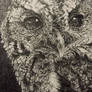 Blind Owl Pointillism
