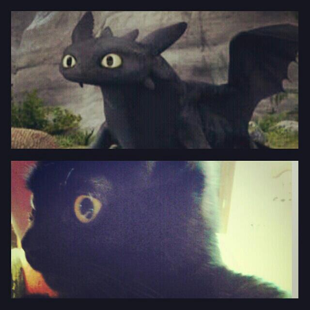 toothless by Babiteeth on DeviantArt