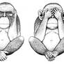 Three Monkeys