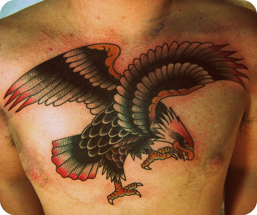 eagle chest