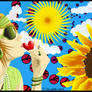 Summer 'O' Love