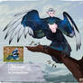 adopt open - harpy magpie