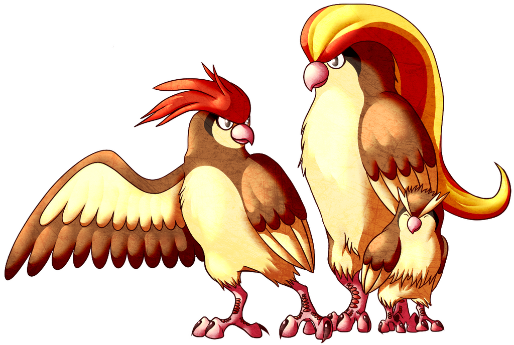 Genwunner Birds