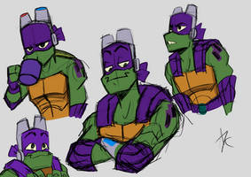RotTMNT Donnie