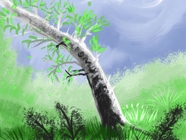 Tree birch speed paint SketchThis