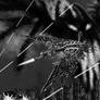 Nigth lord Hel bat Hailstorm unleashed hell