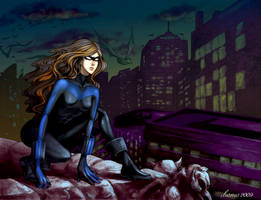 Femme Nightwing -commission-