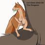 Let's learn about the Tree Kangaroo Cover