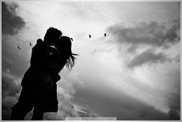 .lovebirds.