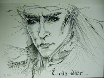 I CAN WAIT : Lee Pace / Thranduil