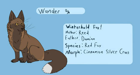 Wander Ref