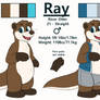 Ray Ref Sheet