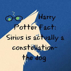 Harry Potter fact