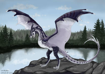 A dragon on a lake