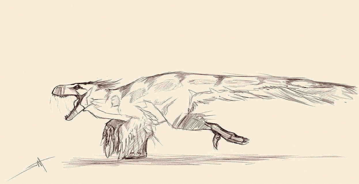 Utah Raptor by Slumurr on DeviantArt