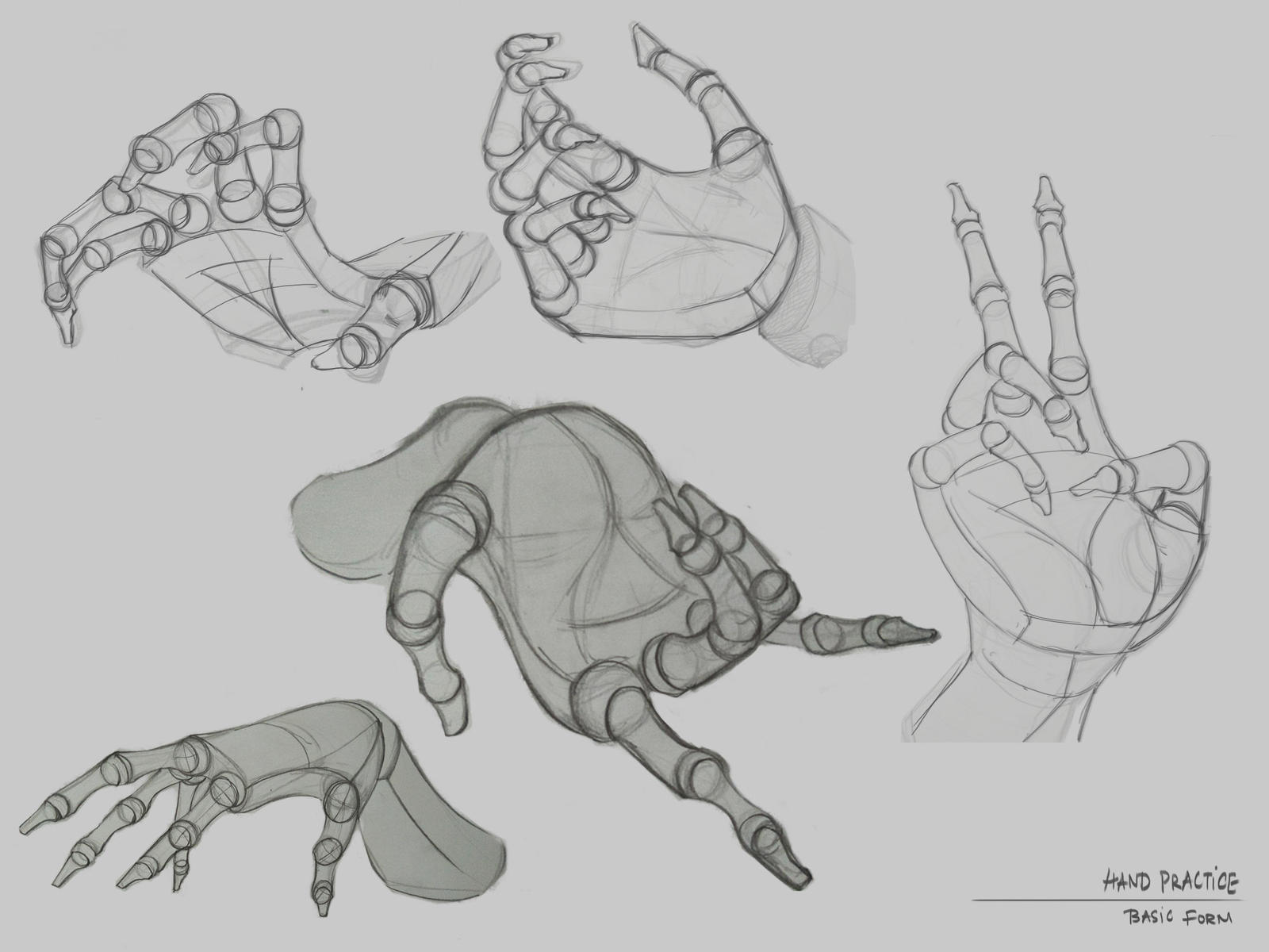 Basic Hand Forms by dude707LoL on DeviantArt